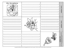 Leporello-Honigbiene-3-1-2.pdf